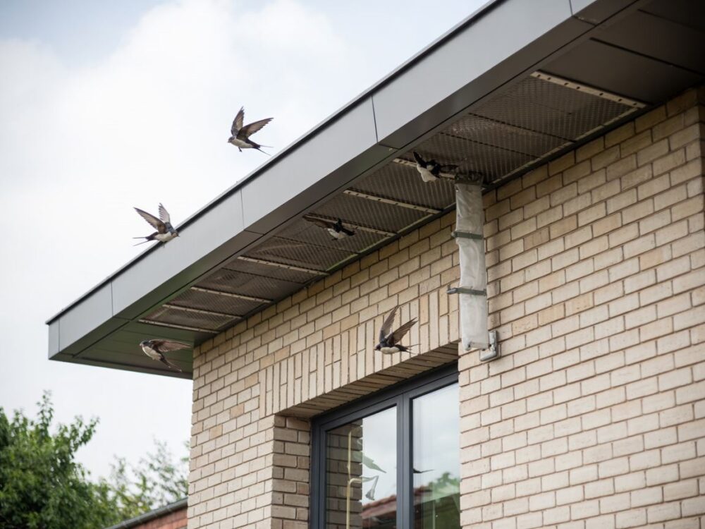 taśma odstraszająca ptaki